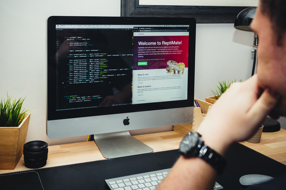 Custom Web Development Services